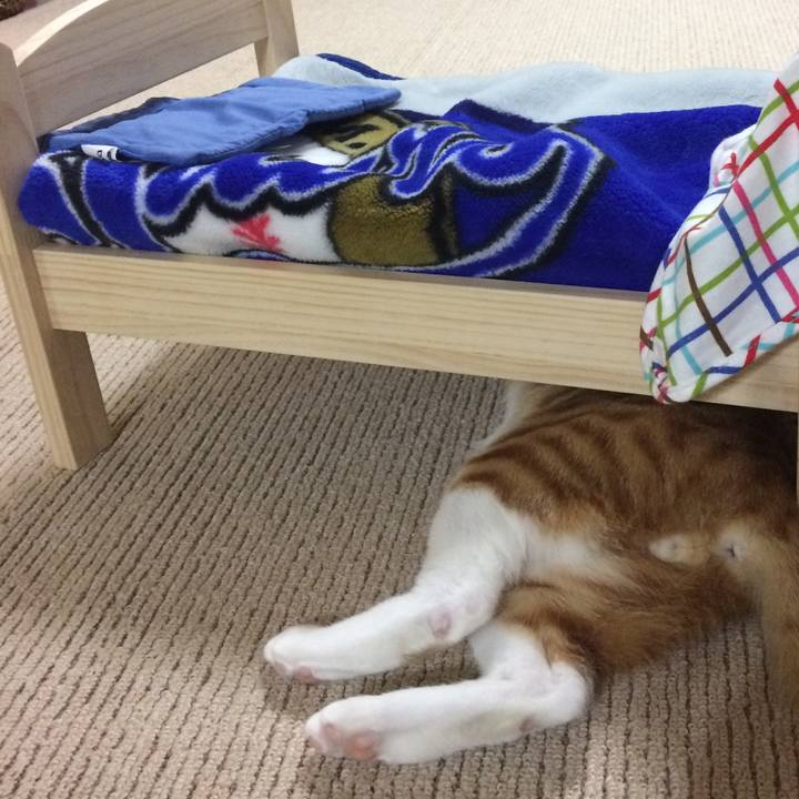 5686d054 ee43 40b2 a53a 8d3d9f10641c