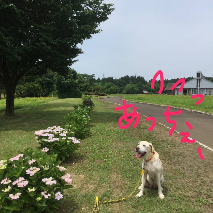 56870628 dbfd 4e21 bdbb cc8834d7b816