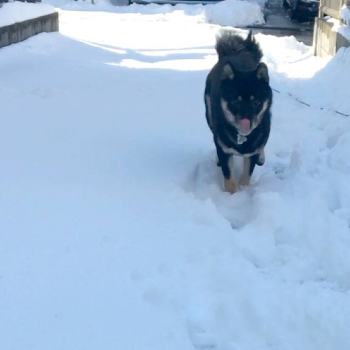 56882159 60e6 4107 a8cb cc97179ba3f9