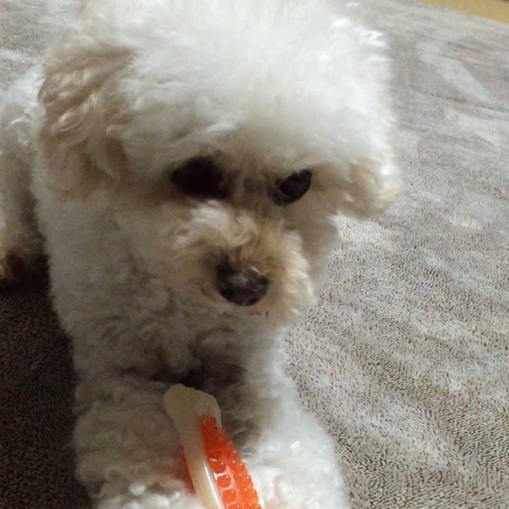 56882d4e f523 484f 990f 076b770108b9