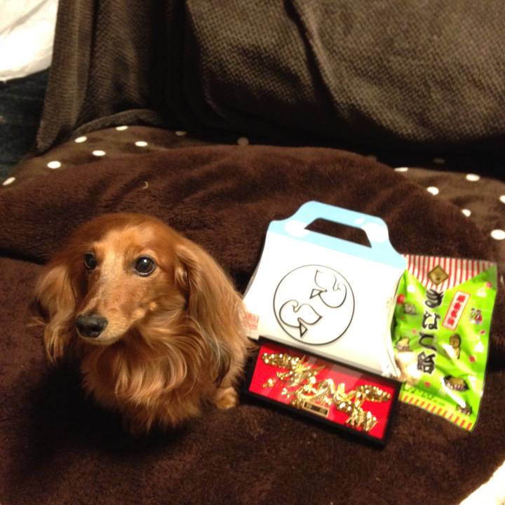 5688558f 26db 443a be2e 286fb504ab85