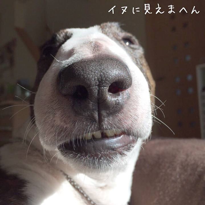 5689885e 0072 4793 b151 c6ad375c380e