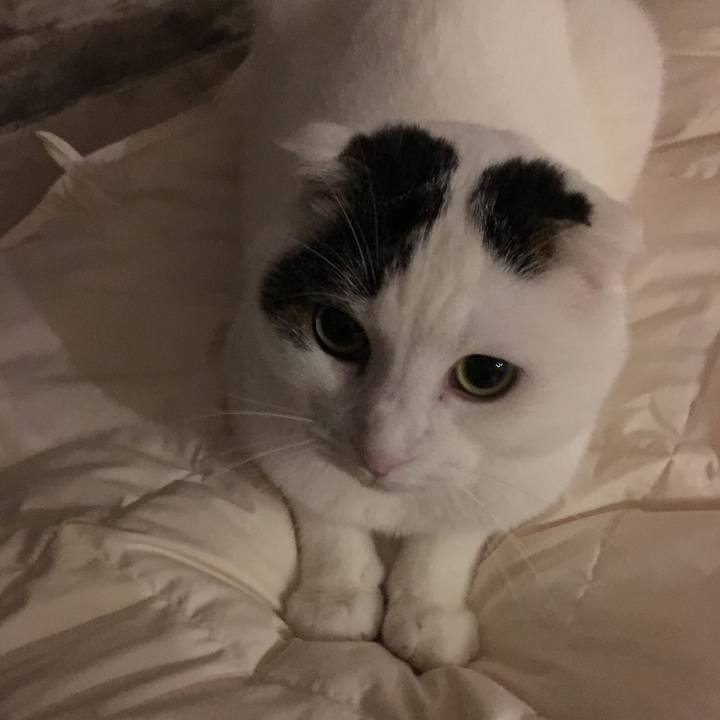 568a6995 9ae8 457a a0b0 1076e64a92c0