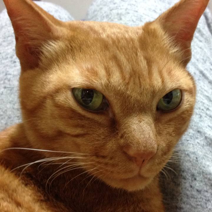 568a8d21 cfdf 4fed b73a 1dbd69559cf4