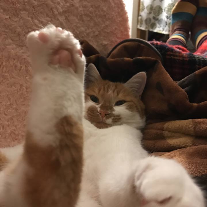 568b11a7 7a5f 47c7 89ab 421e2be59016