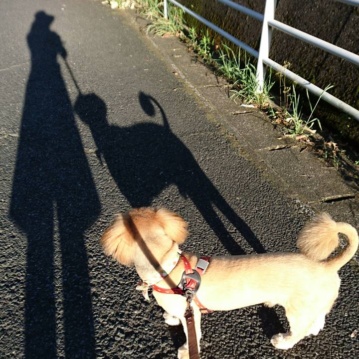 568bcce4 c126 40cb 9768 1700eed4e8aa