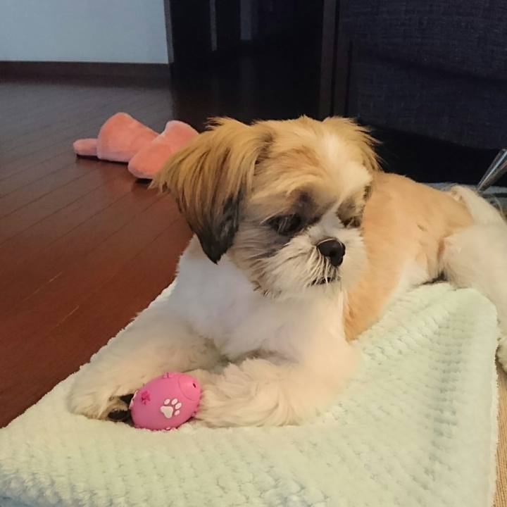 568c5246 f6d0 46cf 8bc0 9b5d7aef9981