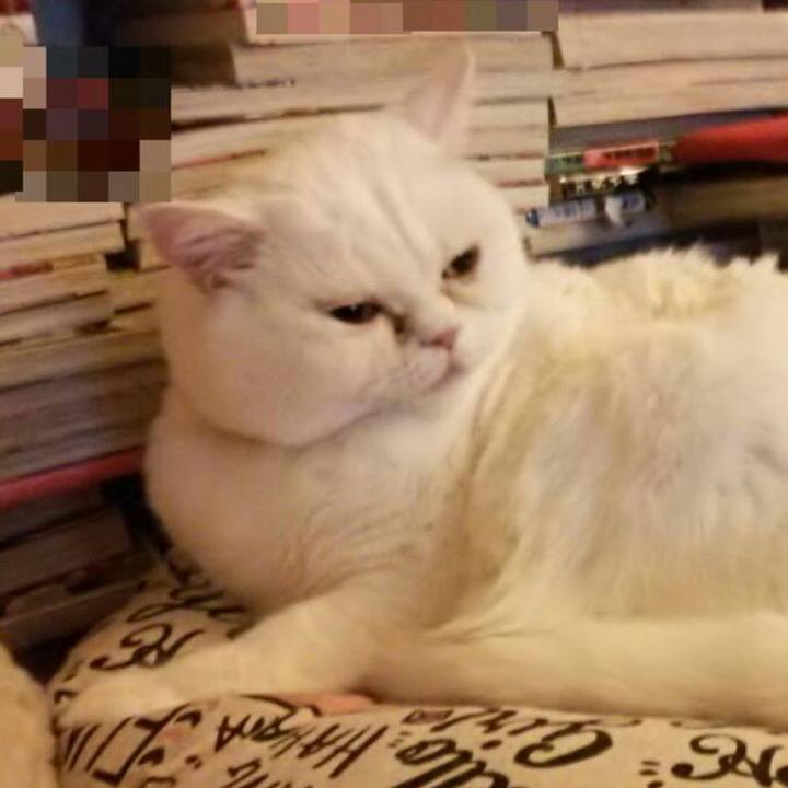 568c535b 924e 488f a9c5 1aa8bcfb0b21