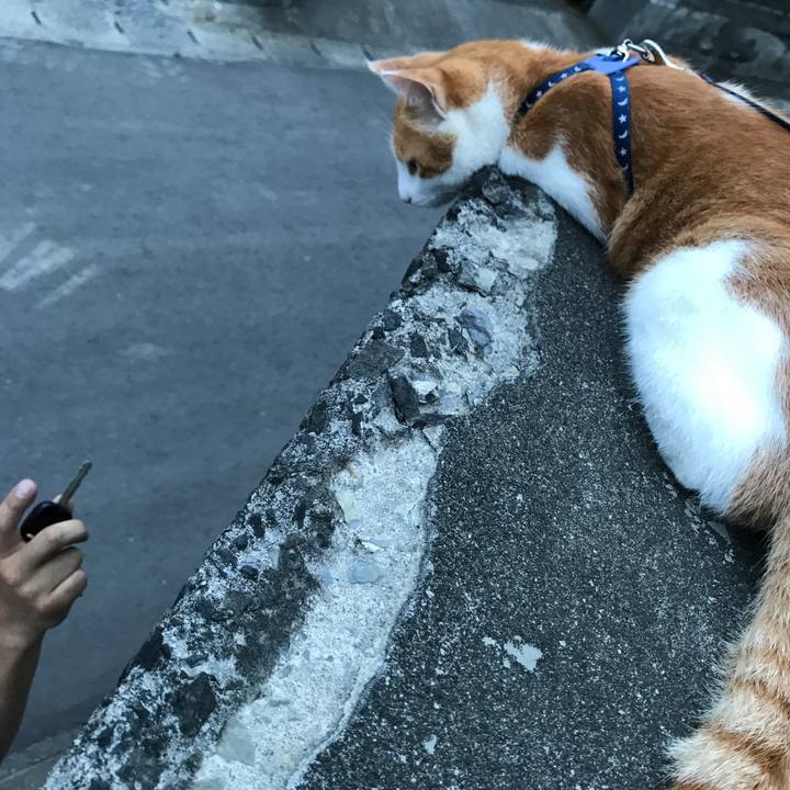 568c63be 2442 470a a112 d07106f4ef4d