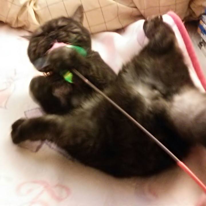 568c8e74 be6e 46a3 ae06 c6572df6d340