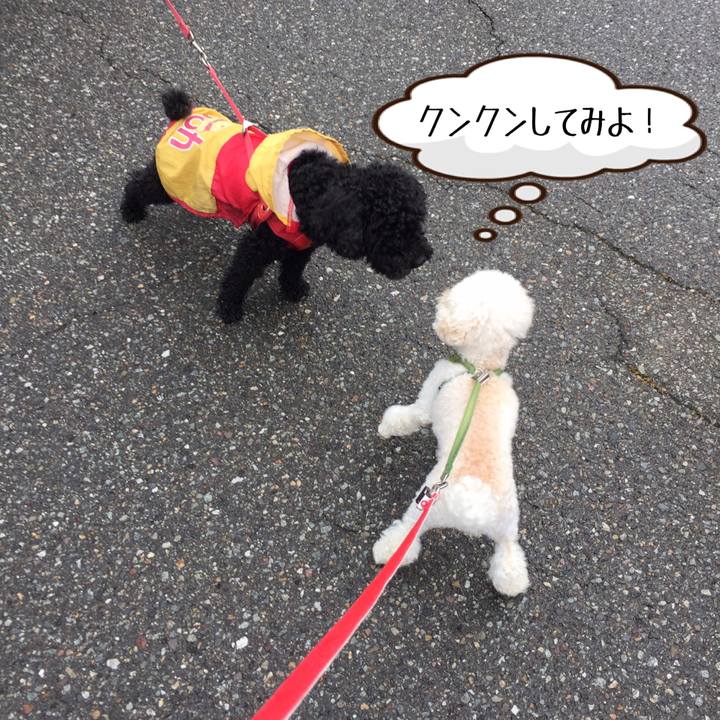 568d2243 0978 47b8 b7f6 7515b07fd31f