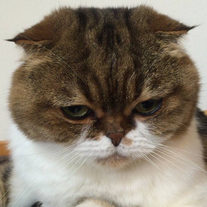 568d7641 fe0b 4a2a a5f8 e06de0b9f6b3