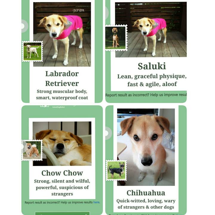 568ddcf9 71d3 4dcc 81f7 233b79e08b69