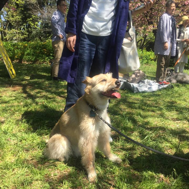 568e116e 7ca8 4534 b7db a86bc03a99f8