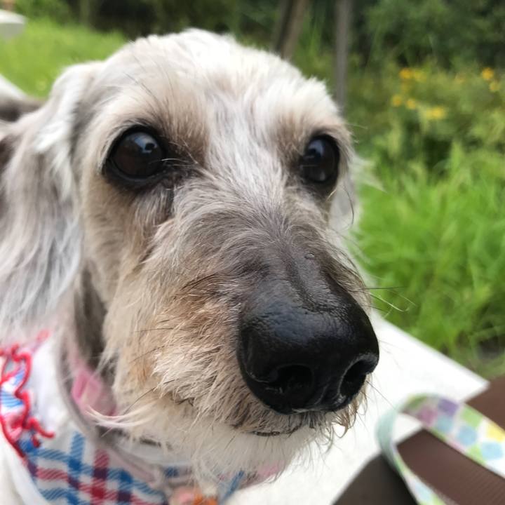 568e8e76 3a6d 47f4 b4de 423e5b692ff4