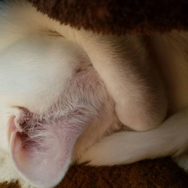 568f220e 3e65 4269 bde8 1568253d2b1f