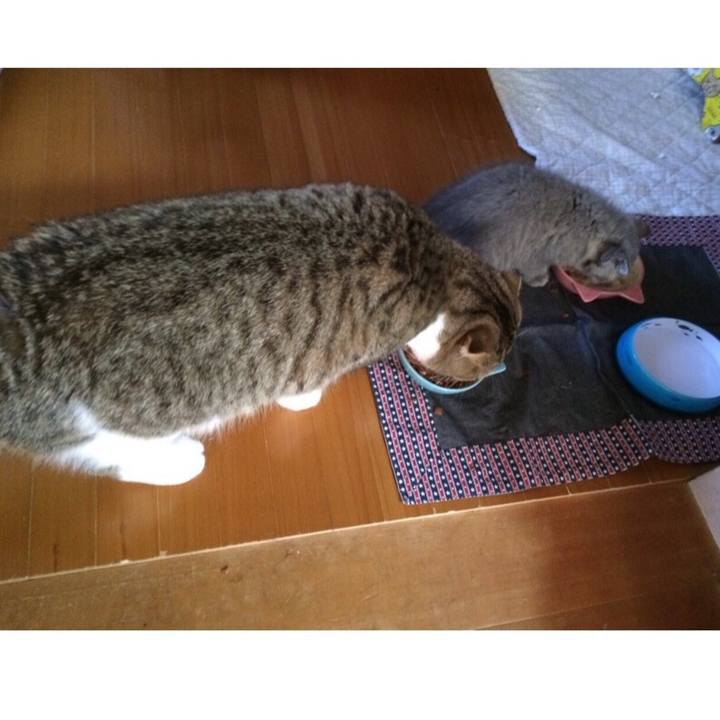 568f41d7 161a 48f1 ac3c 7e687c873bea