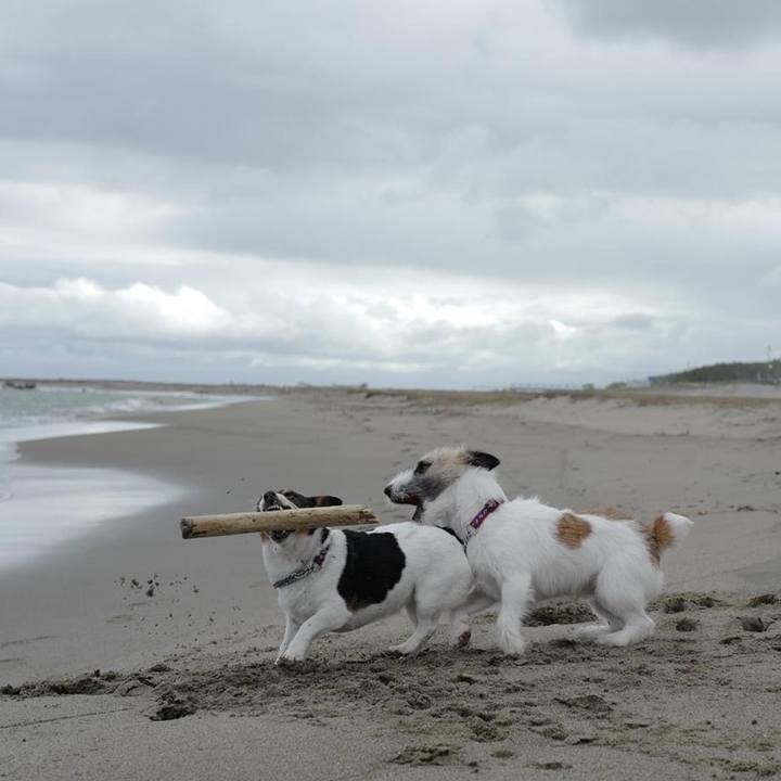 568f4677 54af 40d0 9a3f 1b2b46d21e29