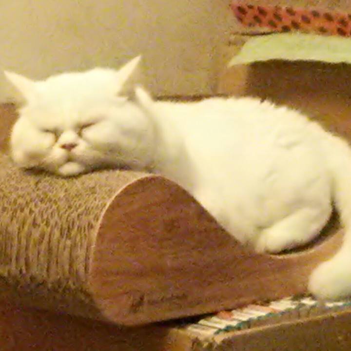 568fe278 555c 4124 95e4 b8c229174f63