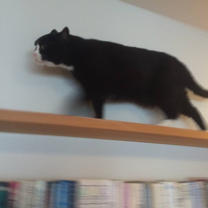 56907c4d 636f 4e2b bafb f39da3b8e247