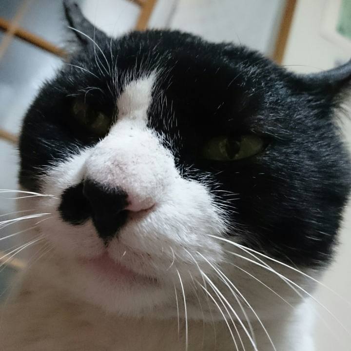 56910989 9fc8 4a45 84f3 78dc9c1c6bee