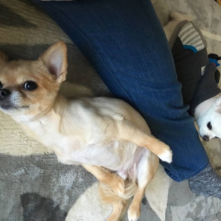 5691e30a 598b 4de6 bd2f 1f2ca6274f32