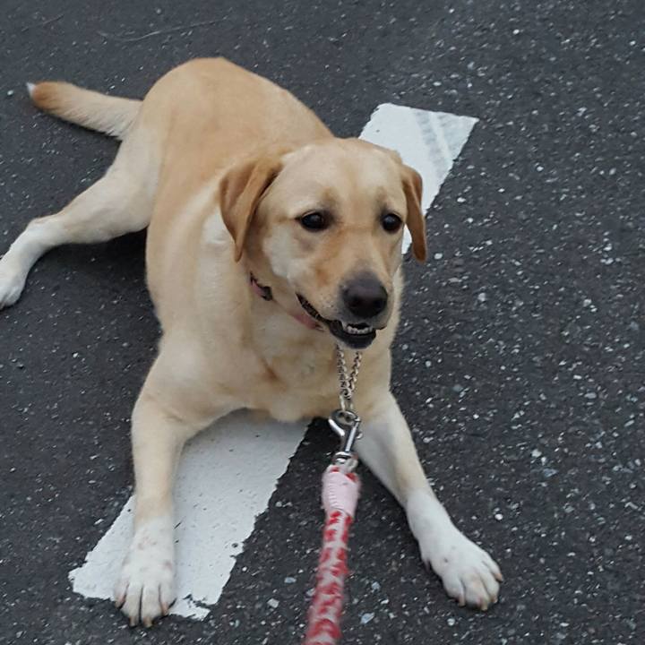 56922861 b014 4802 b61c c90def845613