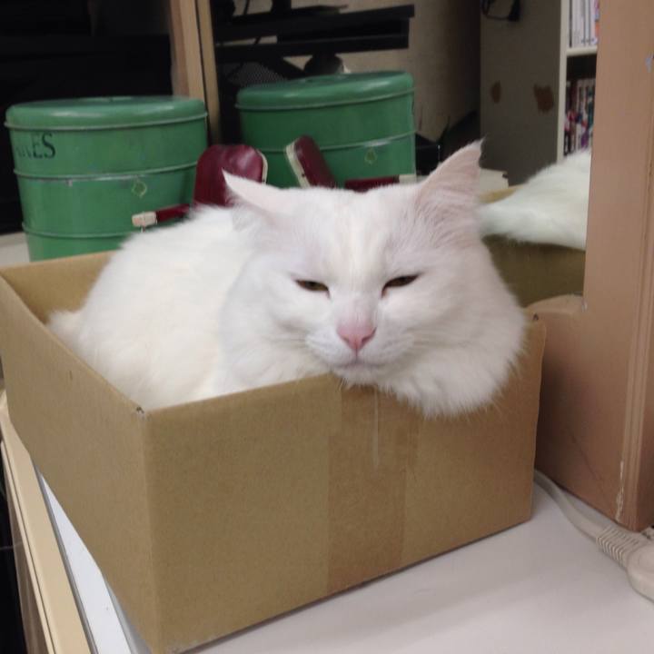 56926b0a ec49 4e91 aa78 e530656335f7