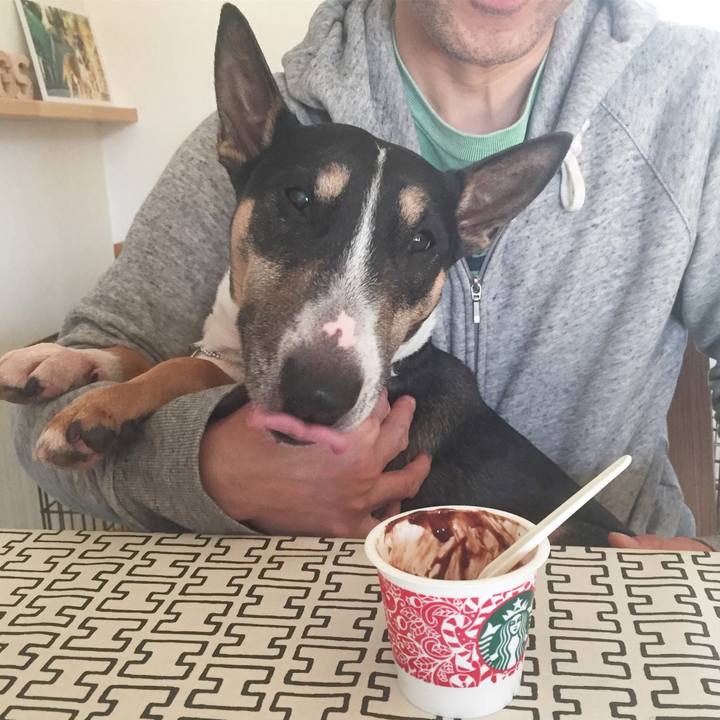 569287ae 1e12 403e a6ca 9dd22bf489a5