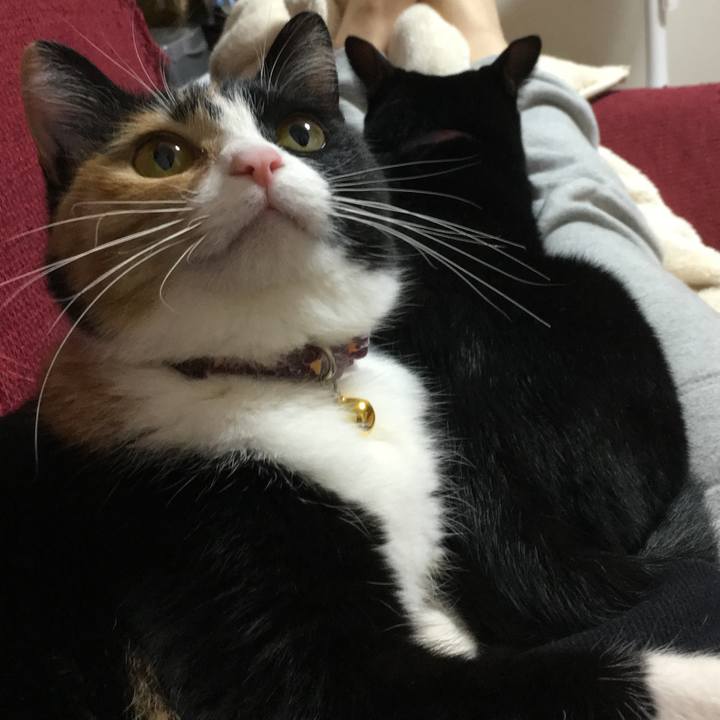 5692900c 8ddc 4c14 8cd0 f0b8f3051ea3