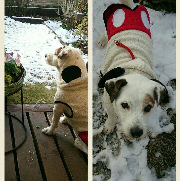 5692b63d f979 43a2 a2b9 57d0754b6ac5