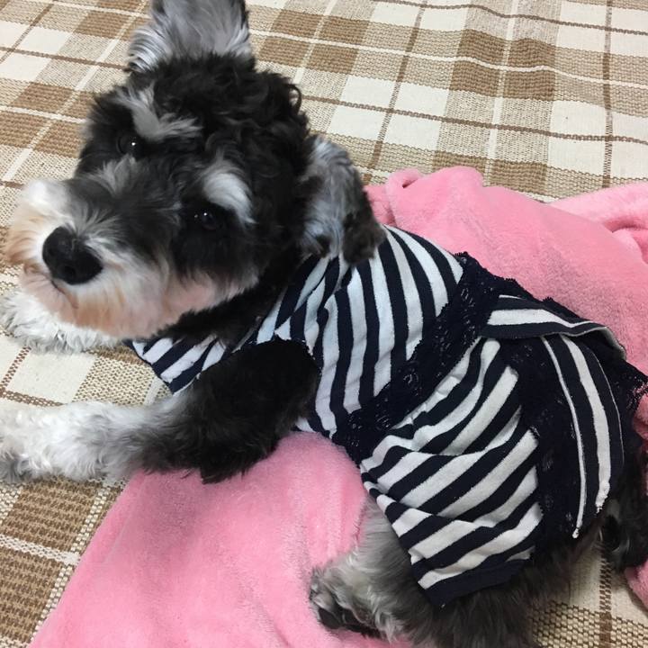 5692e365 1c33 445a a86e e389a3232b71