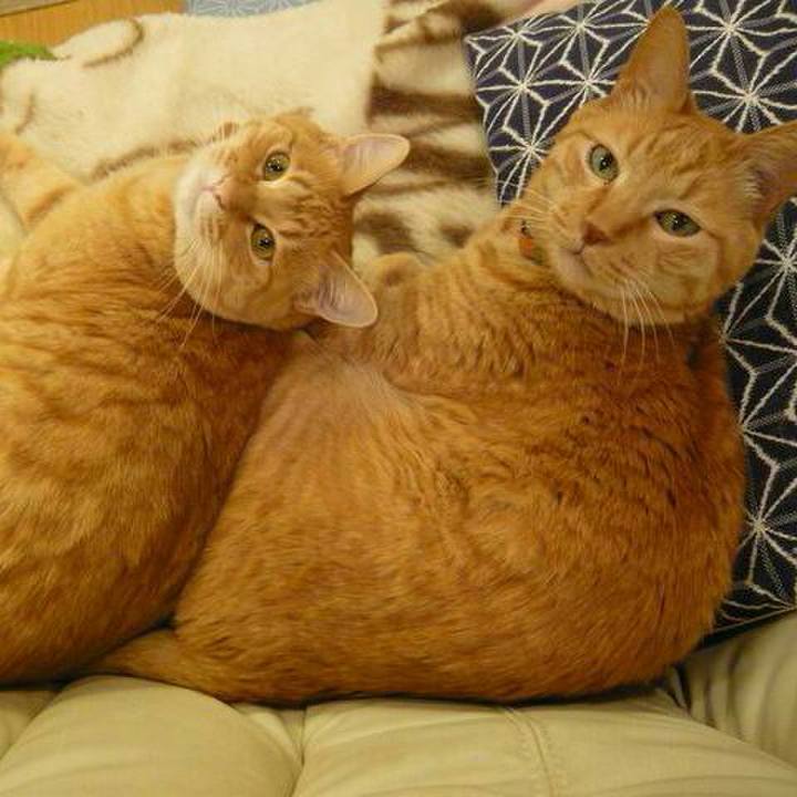 56933476 9c46 4977 b471 babed8613ac6