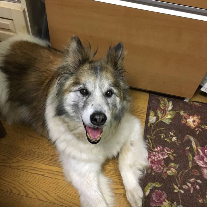 5693f883 0037 47f0 8573 a0422609de2c