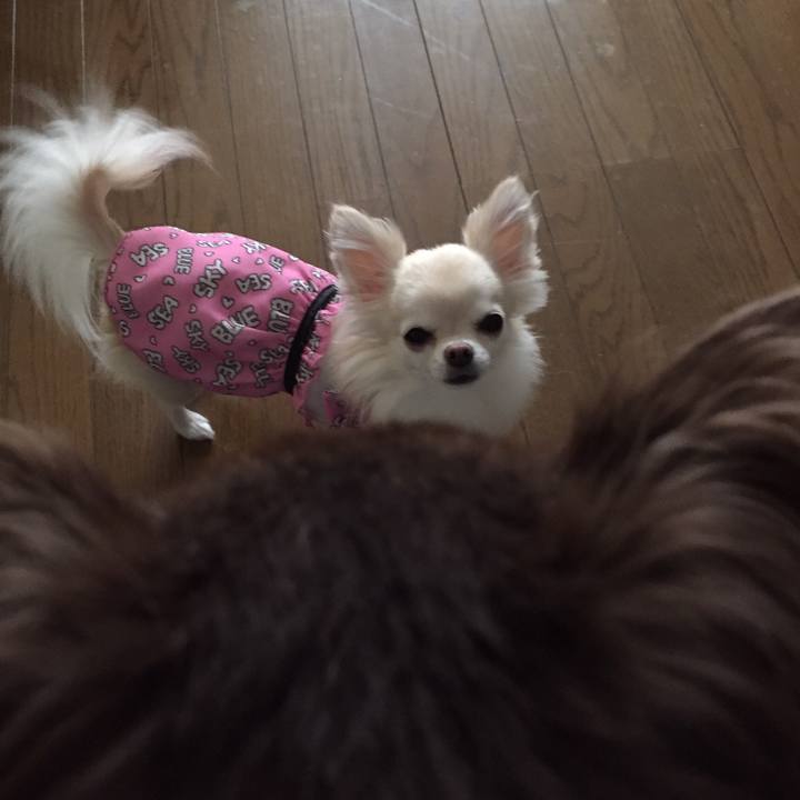 5694e74b 37f8 4271 a293 719cef0d6b1e