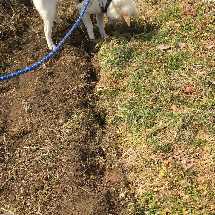 56951fc1 1657 4bf2 958e 86f2e9a76611