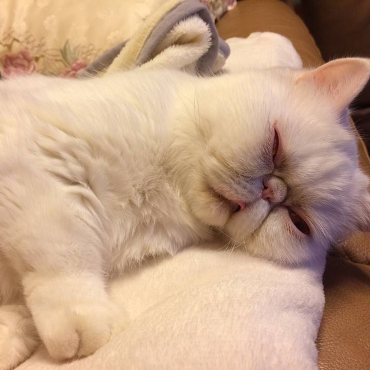 56954aa8 07f7 49d5 8730 3a922892c5d9