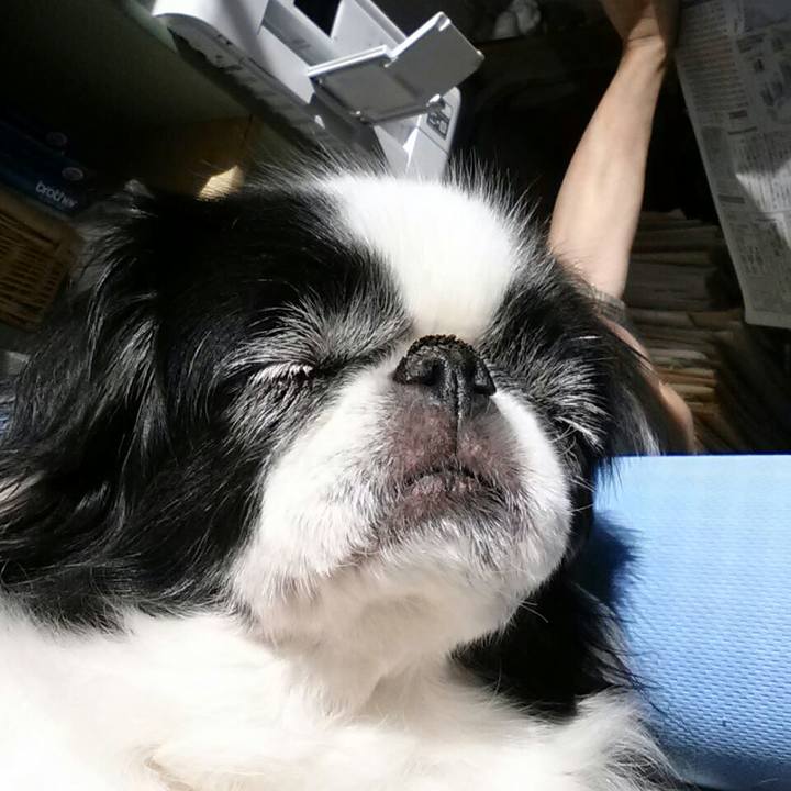 56957975 ec32 40cb b6ff 71ac5c40781f