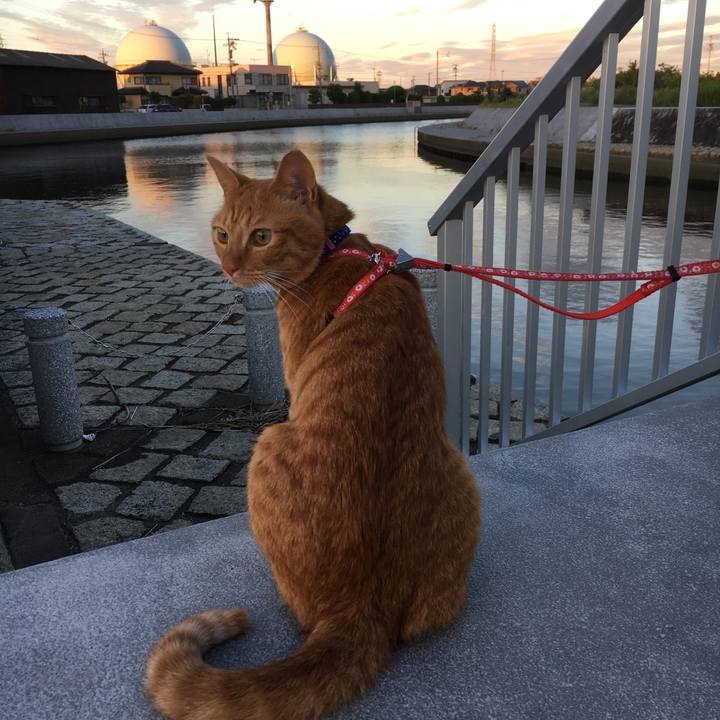 569737b3 b083 4fee b0a6 c9465bd40637