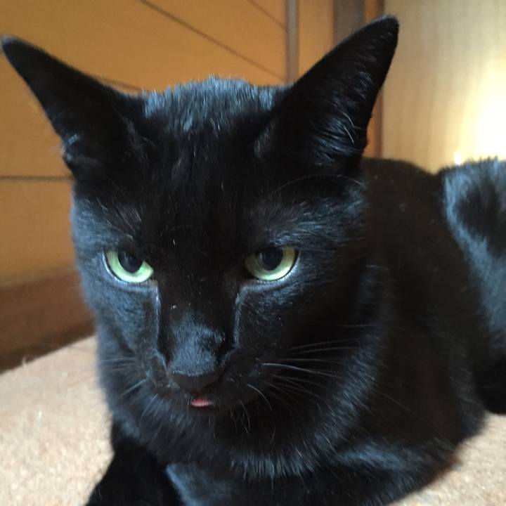 56981ca9 ab7a 4665 b106 7ecac0f149b9