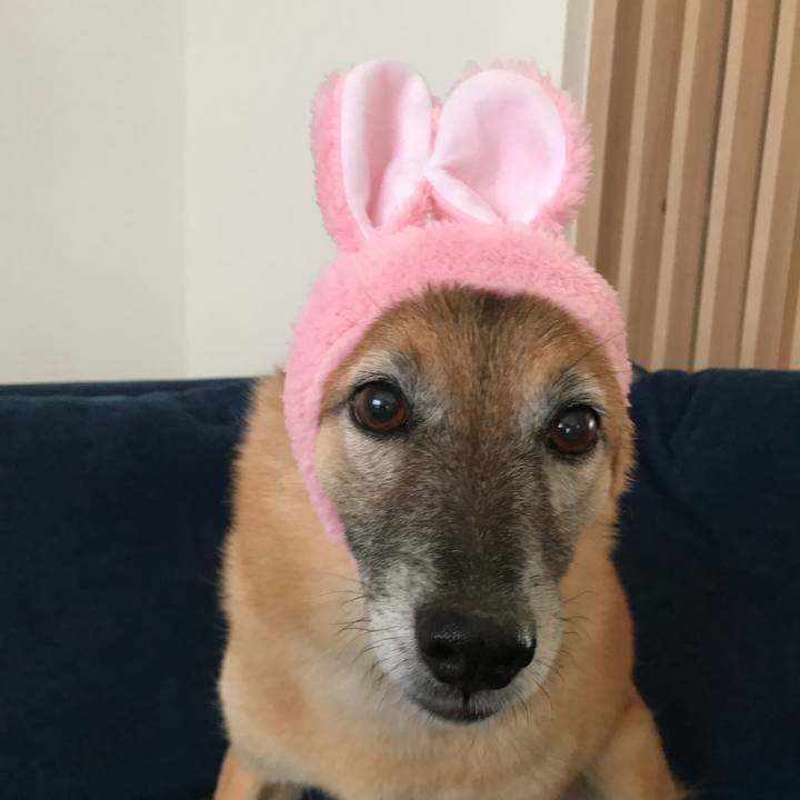 56989c5a 562c 47f8 988d 179f73d73dd5