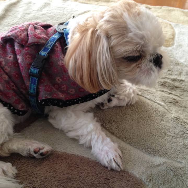 5698ca7f 7b3f 45d9 9a9e 8a610b6cf91c