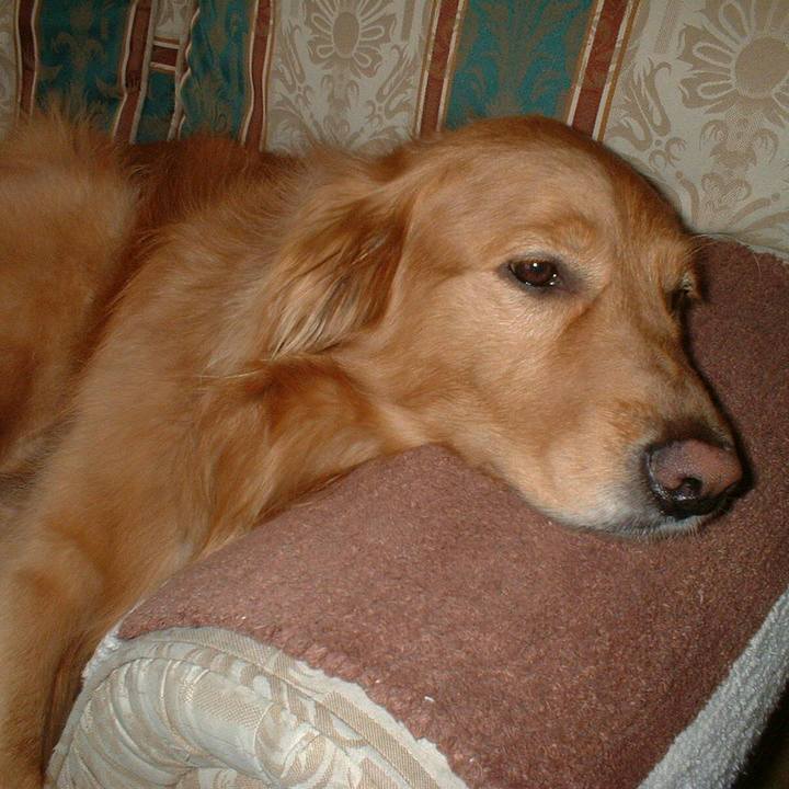 56995136 cfc5 451e 876d 8b5ff9af8195