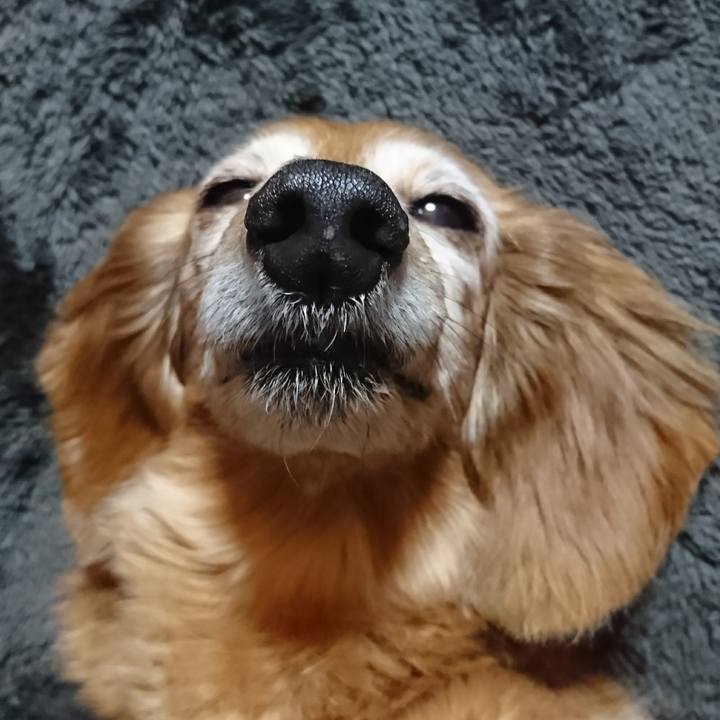 5699b6db c638 417b 8258 4365e0299380