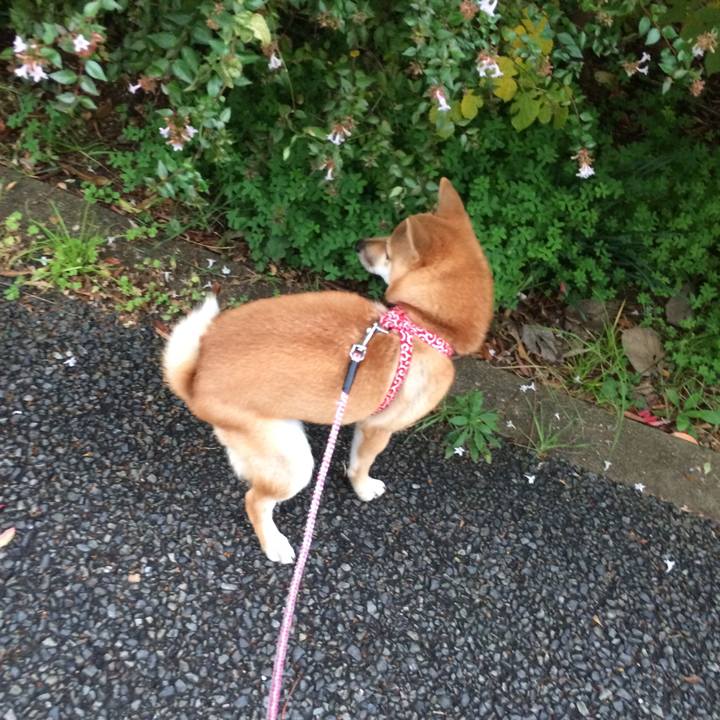 5699c13a 3507 4140 9e9b e16d633bec13