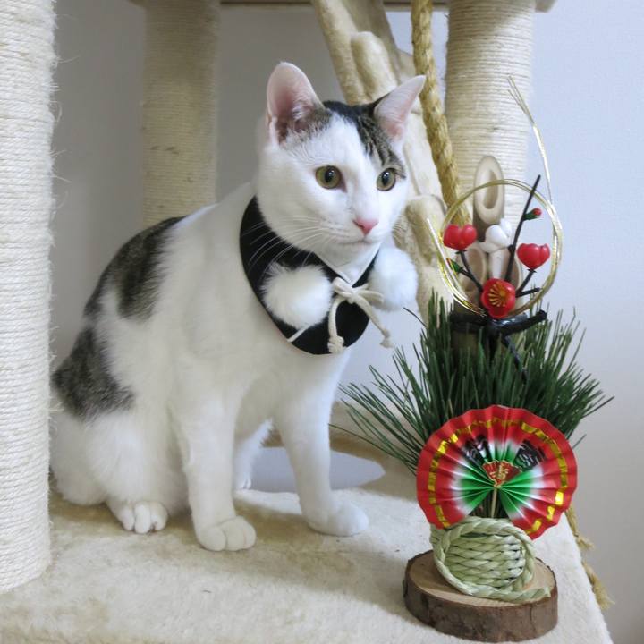 5699cd91 8831 4b88 bfad d45091ecacaf