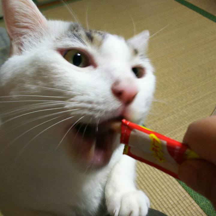 5699e3f4 d3d5 4a19 adbe 8aa39003e3f2