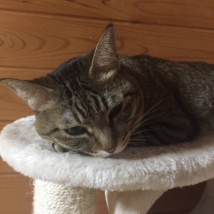 569afa66 b496 4c16 a977 df3006eb875d