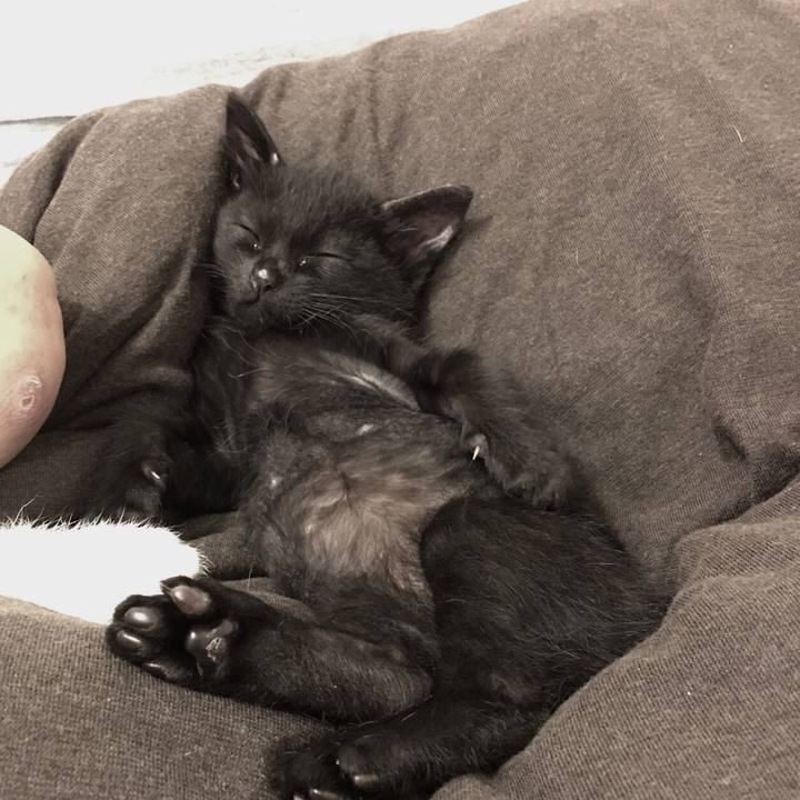 569b3fce 08b8 4824 b82c 66f9799b8f4b