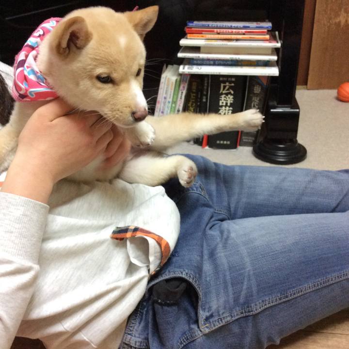 569c3703 6df2 4f6c 9b94 c276ba99cc51